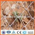 Productos confiables de 50x50m m de la cerca galvanizada del acoplamiento de cadena del diamante / de la cerca de alambre galvanizada